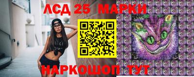 гидропоника Ставрополь